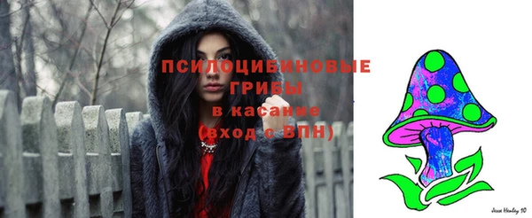 хмурый Нягань