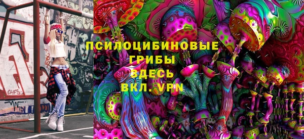 ешки Няндома
