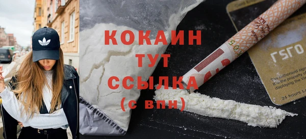 ешки Няндома