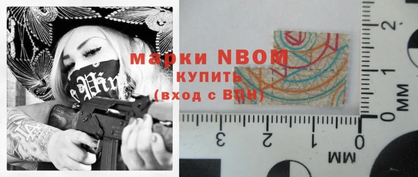 ешки Няндома
