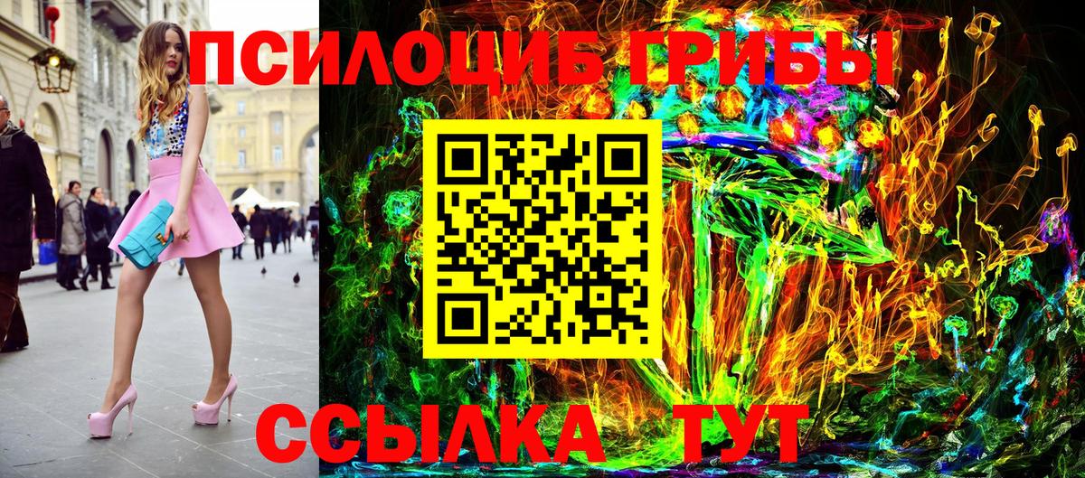 Псилоцибиновые грибы GOLDEN TEACHER  продажа наркотиков  Вход с VPN  Кириши  Галлюциногенные грибы MAGIC MUSHROOMS 